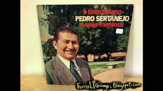 Pedro Sertanejo e Seus Meninos amp Castanheiro  Devolva O Amor from O Bom Baião  Musicolor 1976 [upl. by Hartnett343]