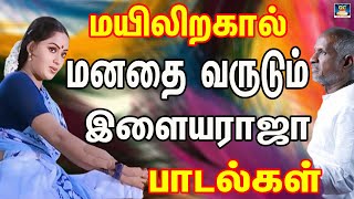 மயிலிறகால் மனதை வருடும் இளையராஜா பாடல்கள்  Ilayaraja Love Composition Tamil [upl. by Corrinne]