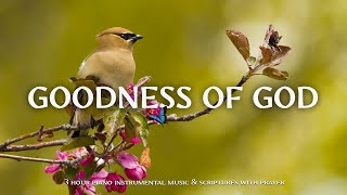 Goodness of God  Instrumental Worship and Scriptures with Birds 🕊 Christian Instrumental [upl. by Eenhpad]