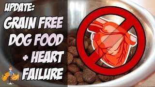 Update Grain Free Dog Food and Heart Failure theres more risks  Dog Health Vet Advice [upl. by Toomay]