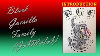 Introduction to the Black Guerilla Family [upl. by Ymerrej]