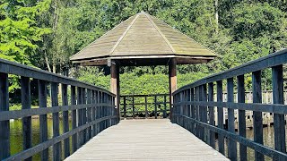 The very relaxing place of Center Parc Limburgse Peel Netherlands [upl. by Tommy]