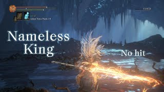 Nameless King Vs Midir Boss Fight No Damage  Hit [upl. by Anica187]