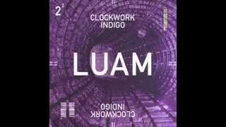 Clockwork Indigo Flatbush Zombies amp The Underachievers  LUAM [upl. by Elwyn]