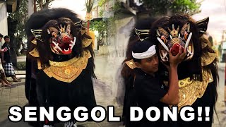 BARONG BANGKUNG SALING SENGGOL MEPETUK 2024 [upl. by Rainer]