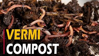 How to Make Vermicompost  How To make Vermicompost at Home From Kitchen Waste [upl. by Koo]