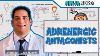 Autonomic Pharmacology  Adrenergic Antagonists [upl. by Earahc151]