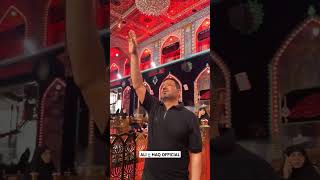 Abbas Alamdar  Nadeem Sarwar Noha karbala muharram shorts [upl. by Aelak]