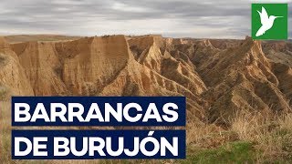 Barrancas de Burujón [upl. by Aihsiyt]