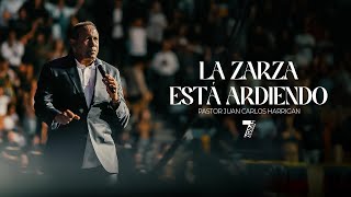 Juan Carlos Harrigan  LA ZARZA ESTÁ ARDIENDO 7 Horas [upl. by Asiil]