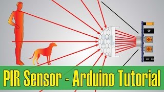 How PIR Sensor Works and How To Use It with Arduino [upl. by Lyrak]