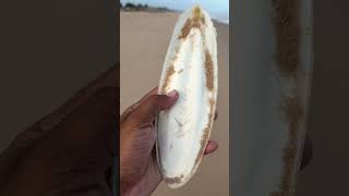 Kalibinda Matta kalibinda beach pavanbunga jellyfish trending viralvideos shortvideos life [upl. by Eben]