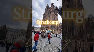 Kurztrip nach Strasbourg 🇫🇷 travel vlog subscribe shorts youtubeshorts foryou [upl. by Aisatna144]