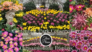 Spectacular Displays of Exhibition Chrysanthemum at Centennial Park Conservatory  November 2024 [upl. by Gnen481]