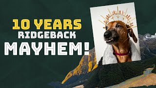 TEN Years Living With Rhodesian Ridgeback Mayhem [upl. by Nettie803]