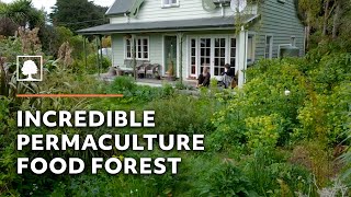 Amazing 23YearOld Permaculture Food Forest  An Invitation for Wildness [upl. by Emmerie]