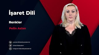 İşaret Dili  Renkler [upl. by Gasper]