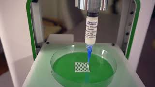 Bioprinting of Bone Scaffold [upl. by Iat189]