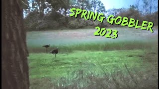 Turkey Hunting in Pennsylvania 2023 [upl. by Mccready]