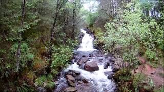 Ennerdale Trail  Forest Waterfalls amp Rivers [upl. by Rivkah401]