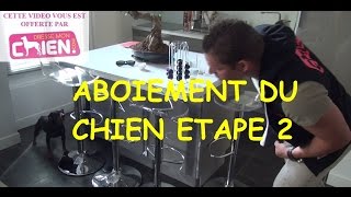 Vidéo chien 26 Aboiement d’un chien  éducation et solution par Eric Tramson [upl. by Koenraad]