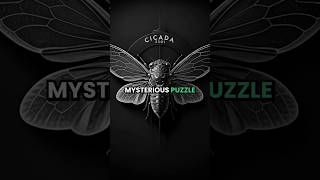 The Mystery of Cicada 3301 [upl. by Fesoy]