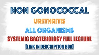 Non Gonococcal Urethritis  All the causative agents Bacteria Viruses fungi Parasites [upl. by Yenhoj]