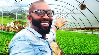 He Left Europe To Become A Farmer In Nigeria [upl. by Santiago471]