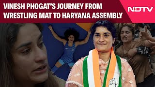 Vinesh Phogat  From Wrestling Mat To Haryana Assembly How Vinesh Phogat Fought Against All Odds [upl. by Demmer83]