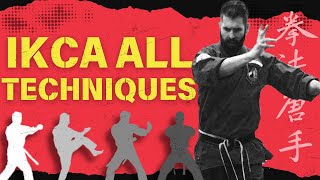 IKCA Chinese Kenpo Karate Techniques [upl. by Uis]