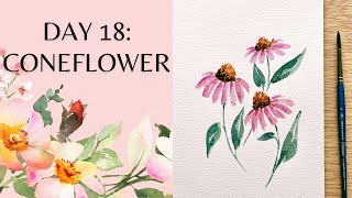 Day 18  watercolor coneflower [upl. by Tcideneb]