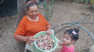 🔴Bañando en el RIO de mi RANCHO  Corte pinzanes de un árbol de aquí de la 🏡 😋 [upl. by Onifur]