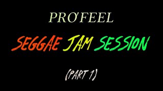 Mo La Mizik cover by Hans profeelstudio4320 Seggae Jam Session part 1 [upl. by Niawtna]