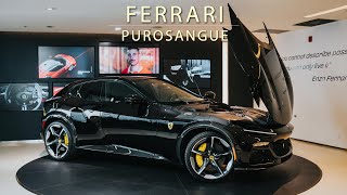 Ferrari Purosangue ASMR [upl. by Nywde]