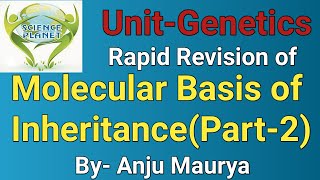 Molecular basis of Inheritance in One Shot Part2 By Anju Maurya [upl. by Attelrahs]