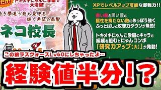 【にゃんこ大戦争】新キャラ ネコ校長登場！そして前代未聞！レベルアップ経験値半分キャンペーン開始の巻！【本垢実況Re1855】 [upl. by Hansiain]