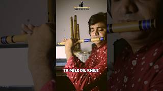 tumiledilkhile flute shortsmusic [upl. by Tillford662]