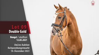 OnLiveAuktion Lot 09 Double Gold Hengst v Double Jackpot  Golden State [upl. by Mendelson]