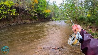 Fly Fishing High Water for BIG Brown Trout [upl. by Rebecca258]