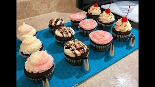 How To Decorate Cupcakes  Wilton Decorating Kit Review [upl. by Pudendas]