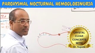 Paroxysmal Nocturnal Hemoglobinuria  Pathophysiology🩺 [upl. by Fritz]