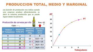 Producto total marginal y medio [upl. by Horbal]