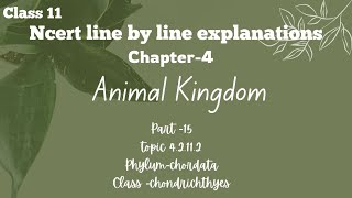 class chondrichthyes animal Kingdom ncert line by line explanation [upl. by Virgy]