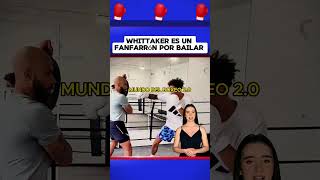 Whittaker es un fanfarrón por bailar boxeo boxing box [upl. by Jensen]