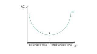 C5 Economies of scale  Cost  Microeconomics [upl. by Corneille412]