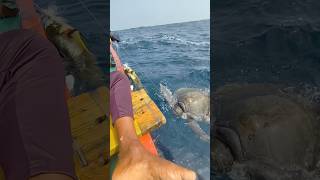 గెలానికి చిక్కుకున్న సముద్రపు తాబేలు turtle youngfisherman18 fishing sea trendingshortsviral [upl. by Emmerie]