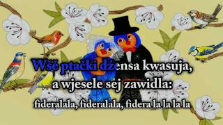 Moderny ptači kwas  Serbski Witaj karaoke song [upl. by Broddie]