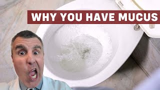 What Causes Mucus In Your Stool [upl. by Liryc838]