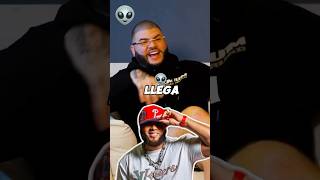 El alfa farruko habla de la canción Xoxo elalfaeljefe alofokeradioshow alofoke yailinlamásviral [upl. by Halilad]