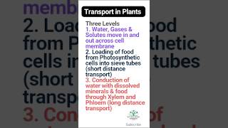 Transport in Plants  Three Levels of Transport in Plants  Plant Physiology [upl. by Mazel161]